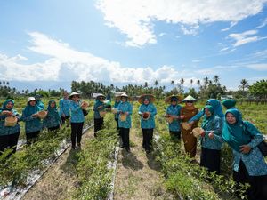 Tinjau Gerakan Tanam Cabai di Sulteng, Tri Tito Karnavian: PKK Berperan Penting