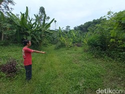 Fakta-fakta Kasus Pelajar Cirebon Dihujani Pukulan dan Tendangan