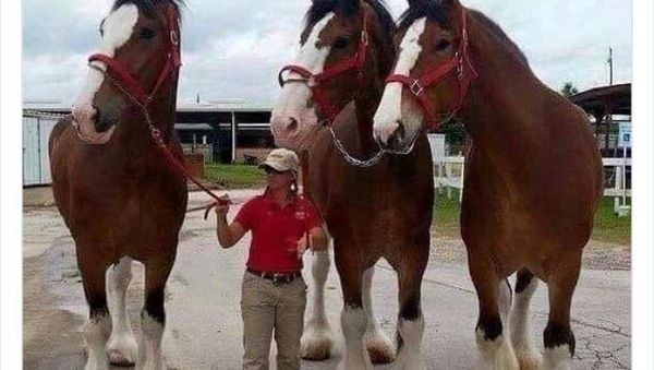 Foto Ini Membuktikan Manusia Juga Makhluk Paling Kecil di Bumi