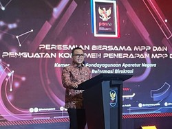 16 Daerah Ini Kini Punya Mal Pelayanan Publik, Urus KTP-SKCK Makin Sat-set