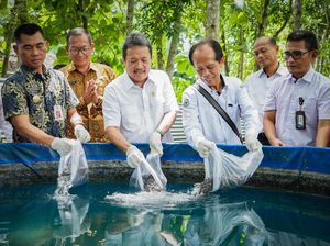 Trenggono: Lele Pasarnya Besar di DIY, Berapapun Produksinya Terserap Trenggono: Lele Pasarnya Besar di DIY, Berapapun Produksinya Terserap