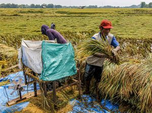 Kesal ke Pengusaha Penggilingan, Prabowo: Jangan Korbankan Petani! Kesal ke Pengusaha Penggilingan, Prabowo: Jangan Korbankan Petani!