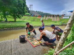 Ramai-ramai Warga Bandung Cuci Karpet Masjid di DAS Ciwidey