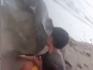 Viral Buaya Berkeliaran Disebut di Pantai Labuan Bajo, Warga Resah