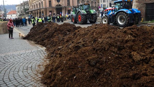 Aksi Petani Buang Kotoran di Depan Kantor Pemerintahan Ceko
