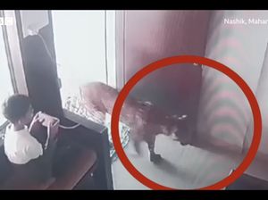 Berani! Anak Kecil Kurung Macan Tutul yang Tiba-tiba Masuk Kantor