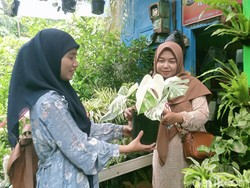 Cerita Pedagang Bunga Bratang Surabaya Tak Rontok Meski Diterjang COVID-19