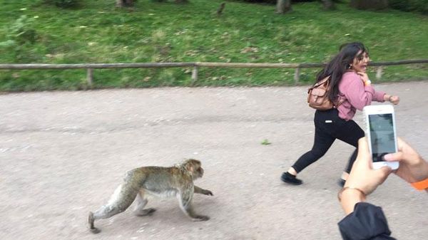 Detik-detik Sebelum Bencana Terjadi Terekam Kamera