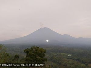 Gunung Semeru Kembali Erupsi Setinggi 800 Meter