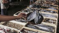 Pasokan Ikan Jelang Ramadan Tercukupi