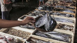 Pasokan Ikan Jelang Ramadan Tercukupi