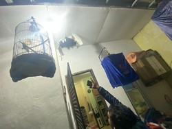 Jebol Plafon Warga, Maling di Limo Depok Bawa Kabur Mobil-Duit Rp 4 Juta