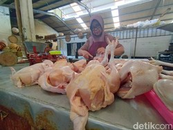 Harga Daging Ayam di Kulon Progo Melejit, Tembus Rp 40.000 Per Kg