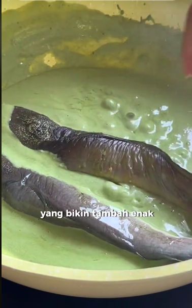 Netizen Ini Bagikan Resep Lele Creamy Matcha, Mau Coba?