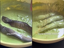 Netizen Ini Bagikan Resep Lele Creamy Matcha, Mau Coba?