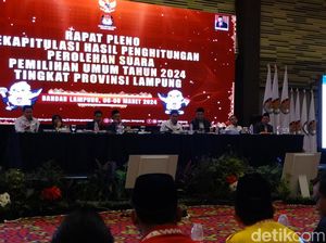 Gerindra Menang di Pileg DPRD Lampung, Raih 16 Kursi
