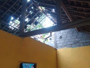 Hujan Angin di Sleman, Pohon Tumbang Timpa Rumah-Jaringan Listrik