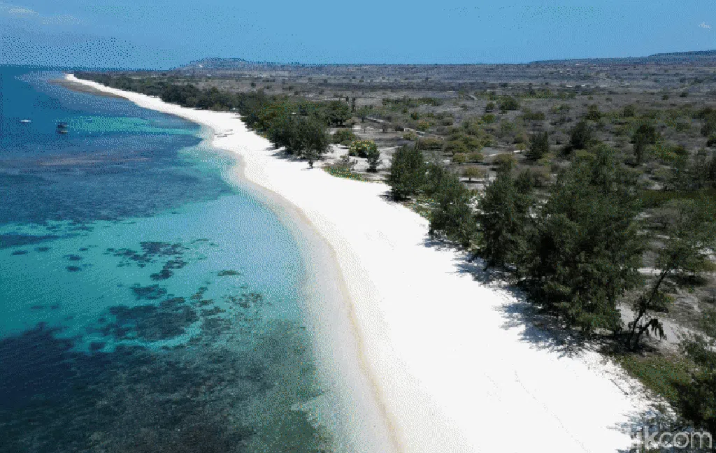 Pulau Sumba: Asal-usul, Geografis, Fakta Menarik, dan Ciri Khas