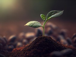 Cara Perkembangbiakan Tumbuhan Secara Seksual dan Contohnya