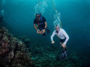 Bawa Kerang Laut ke Darat, Turis Jadi DPO Polisi Thailand Bawa Kerang Laut ke Darat, Turis Jadi DPO Polisi Thailand