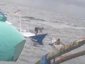 Hendak Piknik, Perahu Motor Angkut 36 Penumpang Terbalik di Kupang Hendak Piknik, Perahu Motor Angkut 36 Penumpang Terbalik di Kupang
