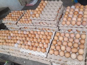 Jelang Ramadan, Harga Telur di Sungguminasa Gowa Tembus Rp 60 Ribu per Rak