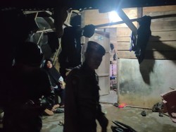 Polisi Minta Keluarga 4 Pemerkosa Siswi SMP di Lampung Serahkan Pelaku