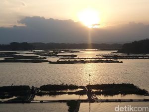 Upwelling, Ikan di Keramba Waduk Cengklik Boyolali Mati Massal