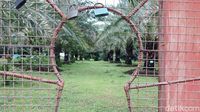 10 Foto Keliling Kurma Park Pasuruan Jelang Ramadan