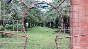 10 Foto Keliling Kurma Park Pasuruan Jelang Ramadan