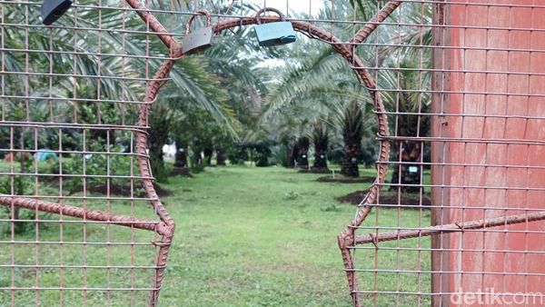10 Foto Keliling Kurma Park Pasuruan Jelang Ramadan