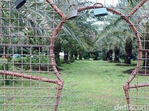 10 Foto Keliling Kurma Park Pasuruan Jelang Ramadan
