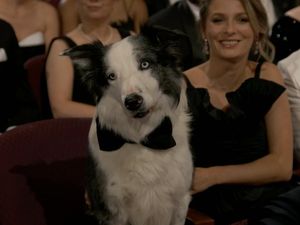 Top! Kilas Balik 5 Momen Terfenomenal Oscar 2024