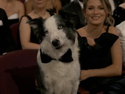 Top! Kilas Balik 5 Momen Terfenomenal Oscar 2024