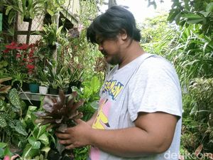 Beli Tanaman Hias di Pasar Bunga Surabaya Kini Bisa Pakai QRIS