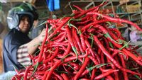 Pemkab Aceh Barat Subsidi Harga Cabai Rp 20.000/Kg