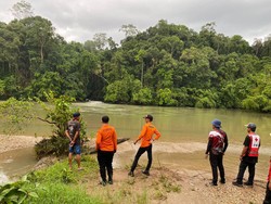 Lansia di Morowali Utara 8 Hari Hilang Usai Masuk Hutan Cari Kayu Gaharu
