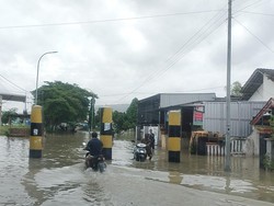 Banjir Bengawan Solo Meluber hingga ke Tuban