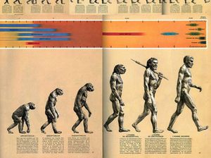 3 Gambar Ini Bikin Salah Paham Soal Teori Evolusi Darwin 3 Gambar Ini Bikin Salah Paham Soal Teori Evolusi Darwin