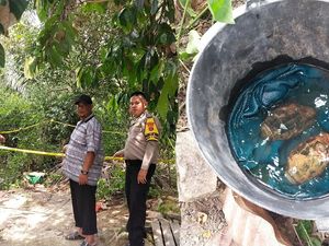 Bocah di Sergai Temukan Granat Aktif Diduga Sisa Perang Dunia II Bocah di Sergai Temukan Granat Aktif Diduga Sisa Perang Dunia II