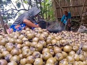 Banjir Pesanan, Penjual Kolang-kaling di Banyumas Beromzet hingga Rp 3 Juta