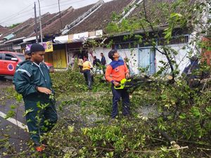 Cuaca Ekstrem Sebabkan Pohon Tumbang, Pengguna Jalan Diimbau Hati-hati