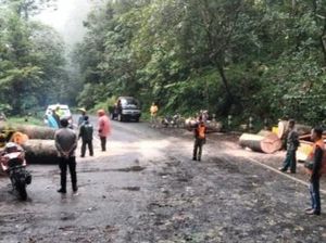 Hujan-Angin Kencang Terjang Mojokerto hingga Tutup Jalur Pacet-Cangar