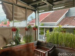 Angin Kencang Terjang Garut, Rumah Warga Rusak-Pohon Tumbang