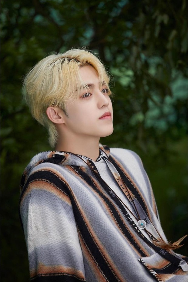 Potret S.Coups SEVENTEEN