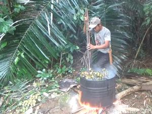 Cerita Yayan Olah Kolang-kaling di Tengah Hutan Purwakarta