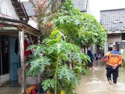 Banjir Luapan Bengawan Solo Meluas, 4 Kecamatan di Lamongan Terendam