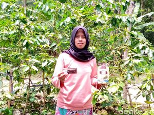 Cerita Iis Eks Penjaga Kantin Jadi Pengusaha Kopi Kelas Dunia
