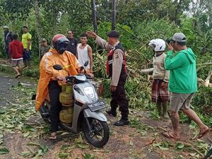 Pemotor Asal Buleleng Tewas Tertimpa Pohon di Jalan Denpasar-Kintamani