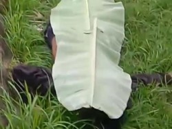 1 Pria Tewas Tergeletak di Pinggir Jalan Bali, 1 Lainnya Luka Parah